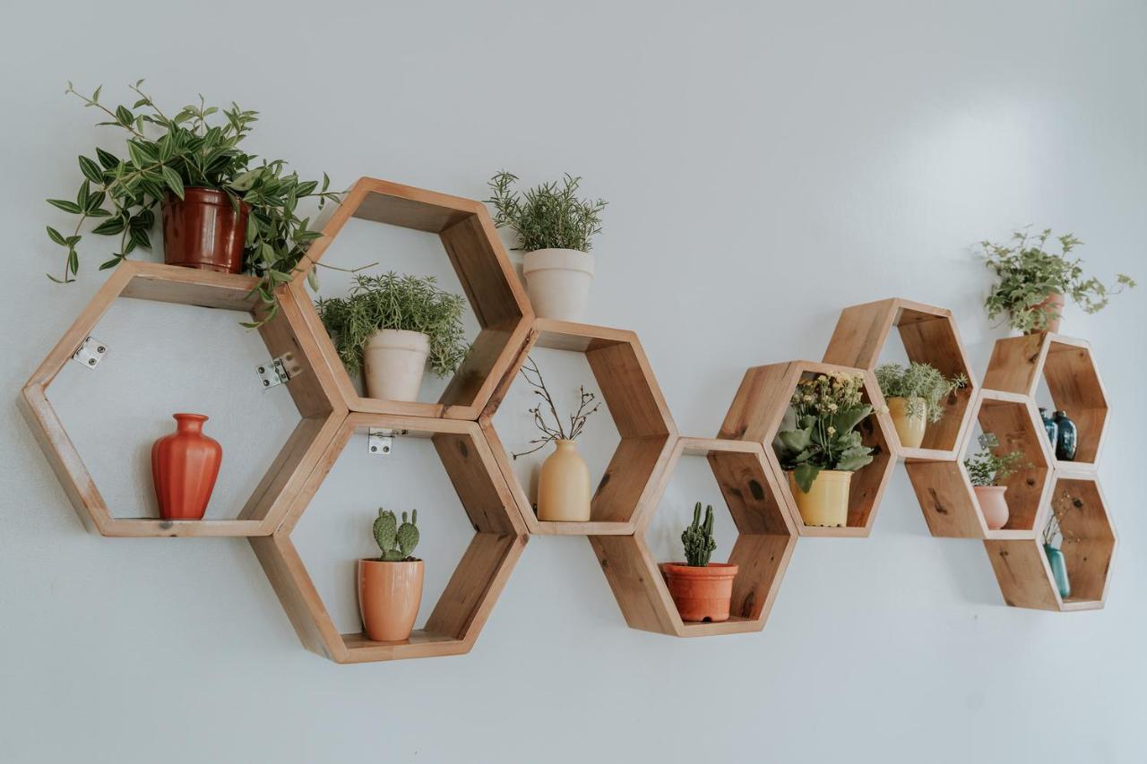Le Cactus Hotel ها لونغ المظهر الخارجي الصورة